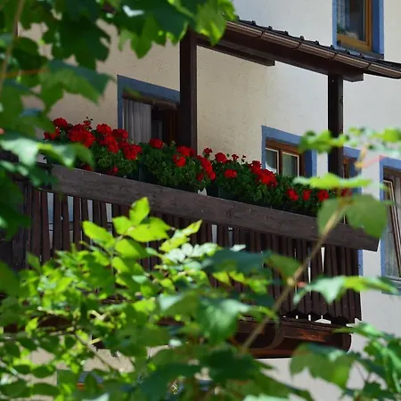 Pensionat Gasthof Kollenspitze Nesselwängle