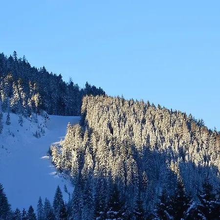 Pensionat Gasthof Kollenspitze