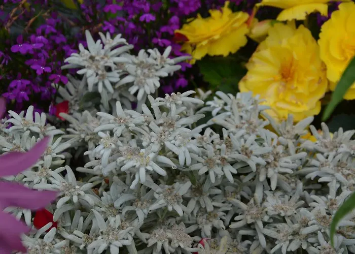 科伦斯皮特旅馆 招待所