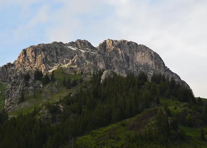 科伦斯皮特旅馆 内塞尔旺勒