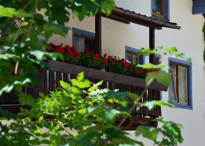 招待所 科伦斯皮特旅馆 内塞尔旺勒