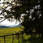 Gasthof Kollenspitze Pensionat *