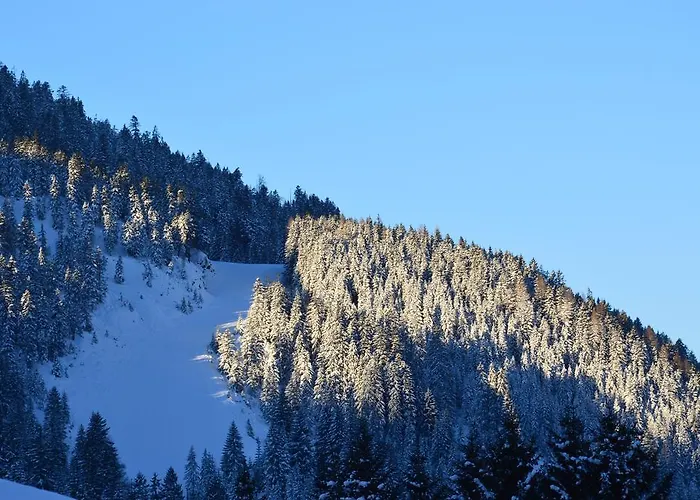 Πανσιόν Gasthof Kollenspitze